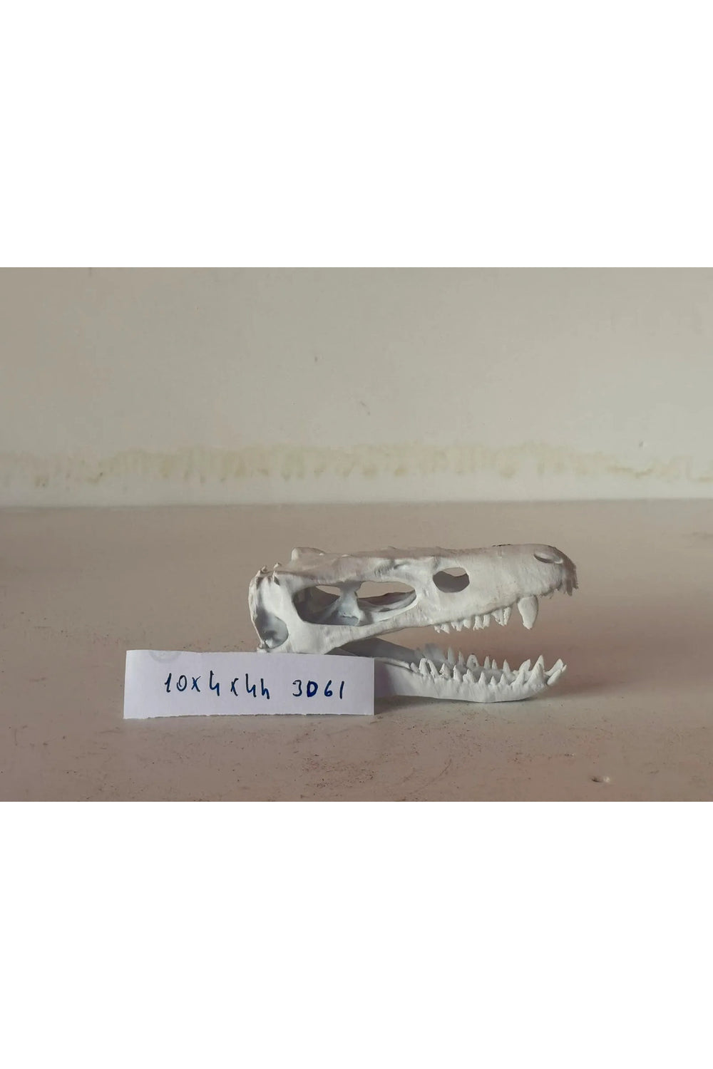 3D Akvaryum Dekoru (Timsah Kuru Kafa) 10X4X4h