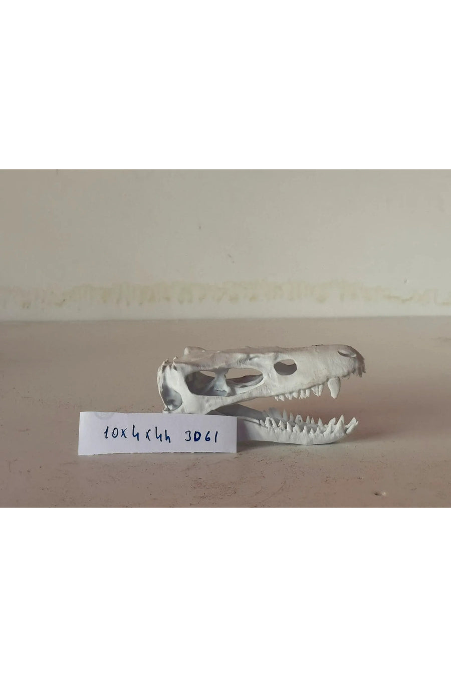 3D Akvaryum Dekoru (Timsah Kuru Kafa) 10X4X4h